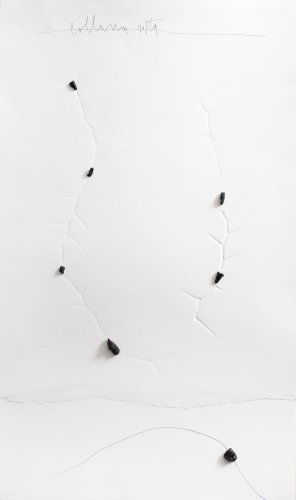 16 19